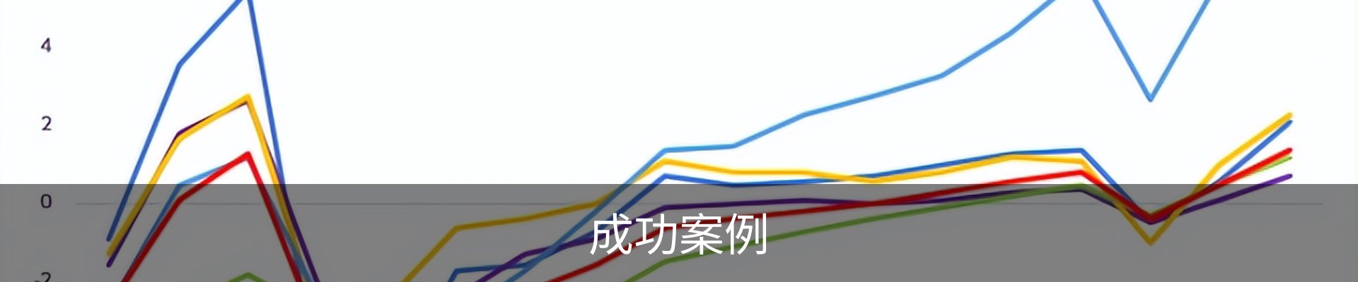 成功案例